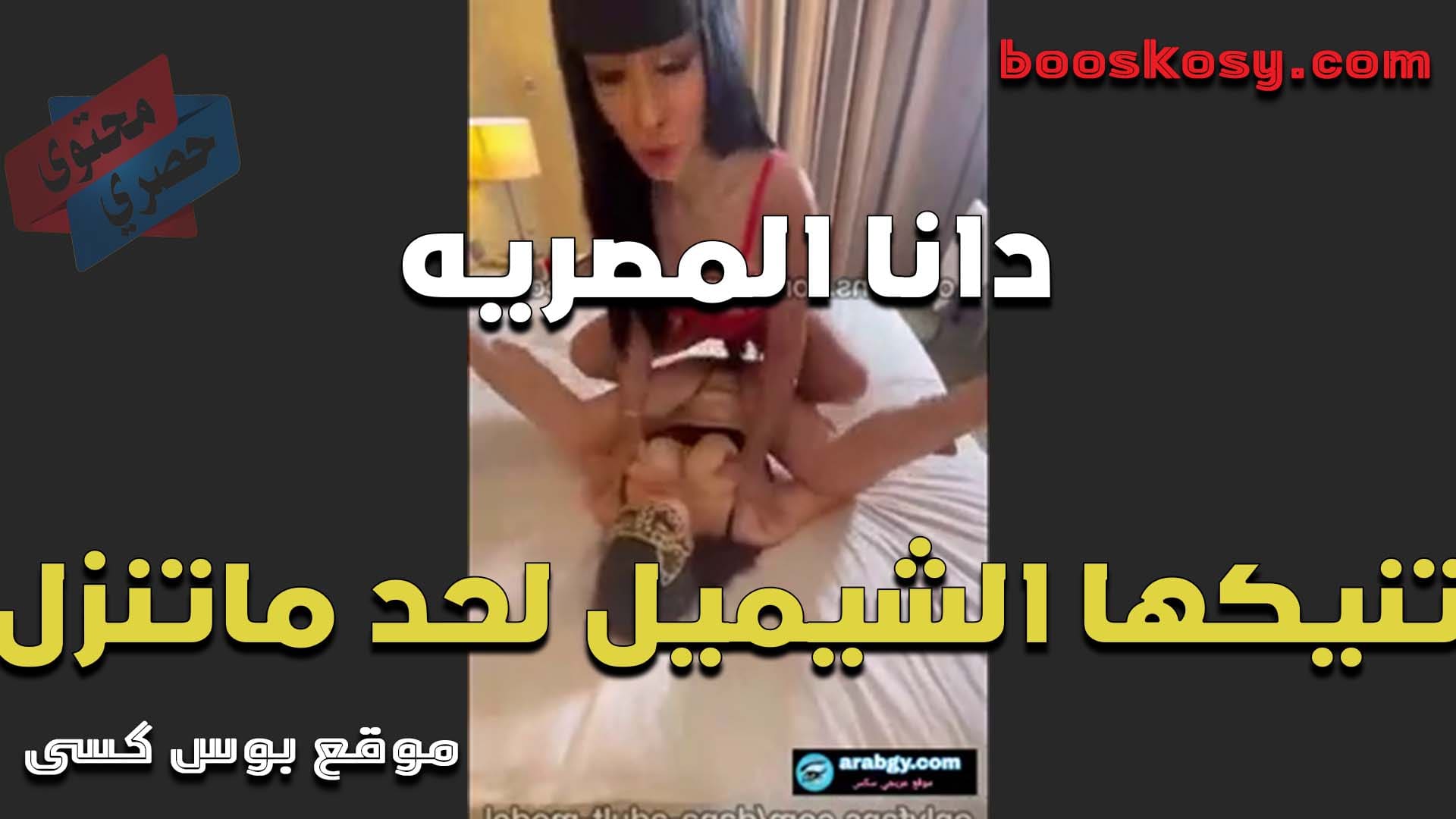 الحيحانه دانا المصريه نيك سعودي تنيكها الشيميل بعد ما كيفتها لحس ومص في زنبور كسها